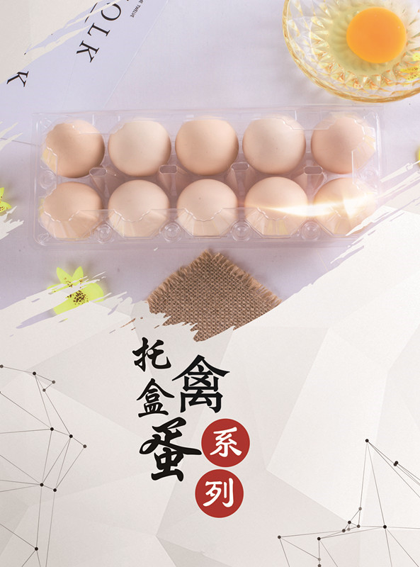 禽蛋托盒