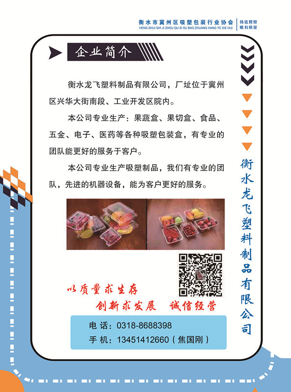 衡水龙飞塑料制品有限公司